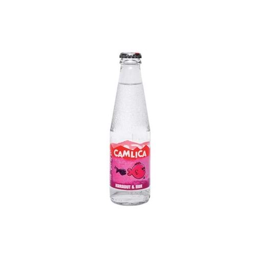 ÜLKER ÇAMLICA KARADUT VE NAR 200 ML