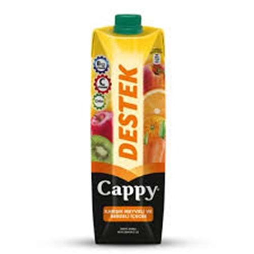 CAPPT DESTEK 1 LT
